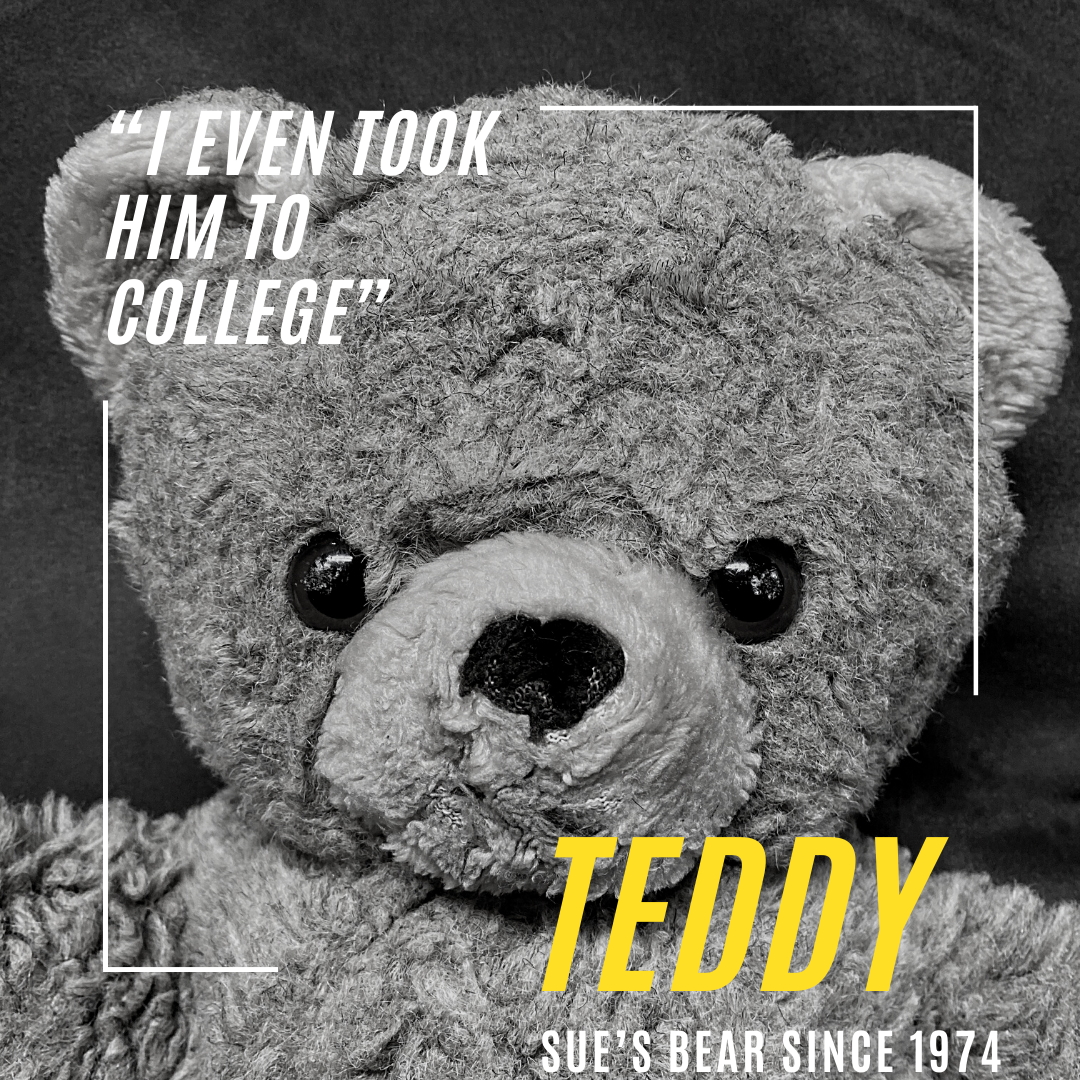 Teddy